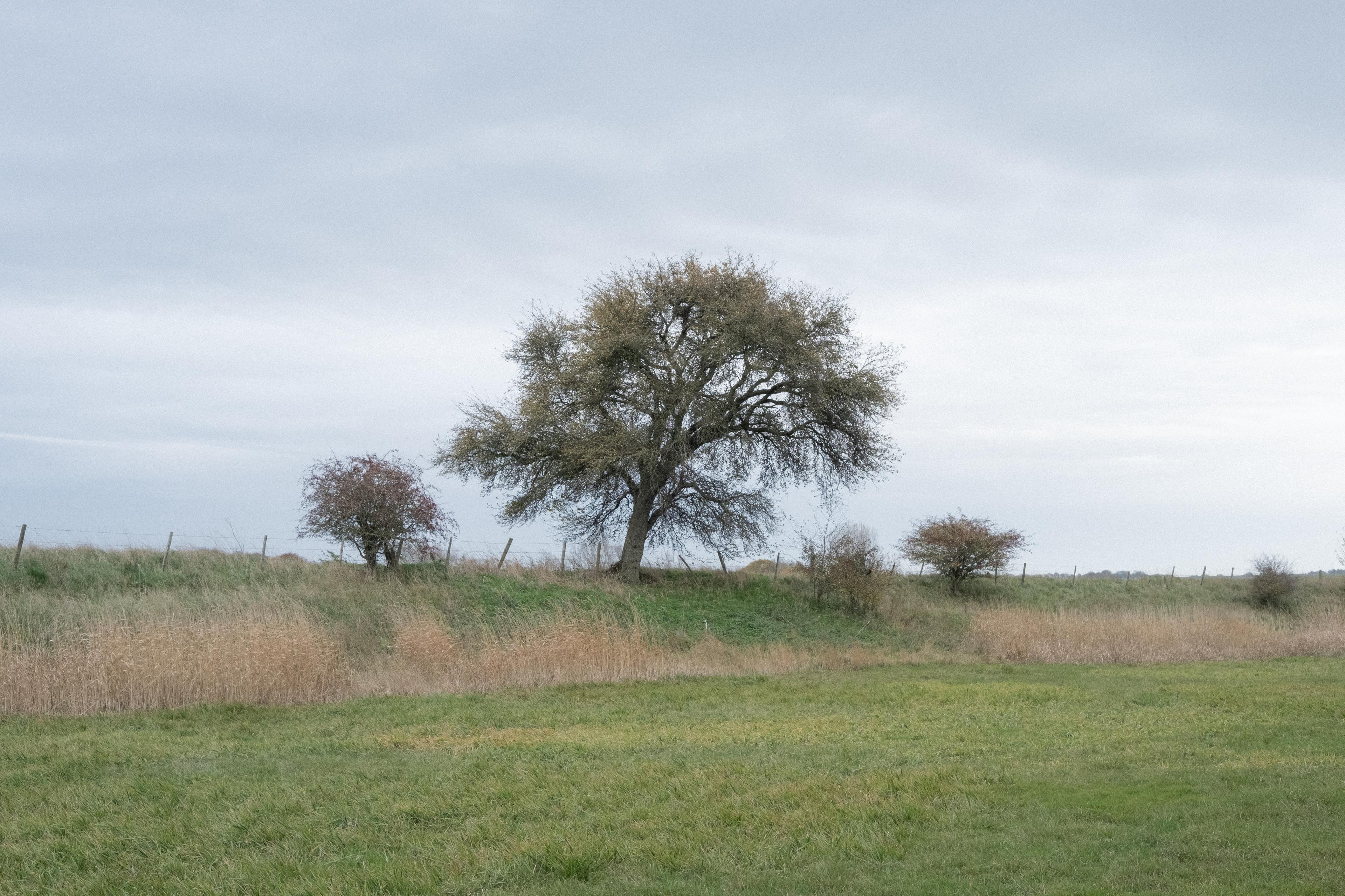 i-met-a-woman-frozen-in-stone photo 9